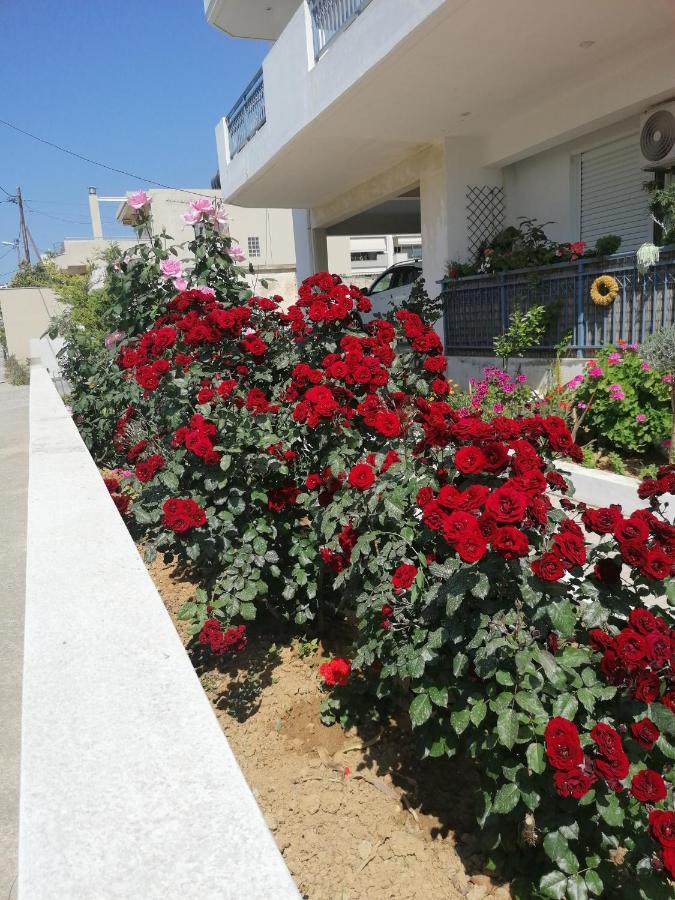 Apartment Elva Creta