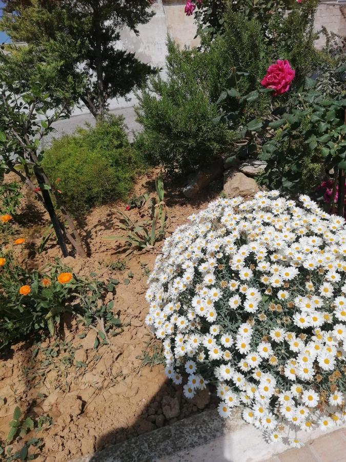 Apartment Elva Creta *