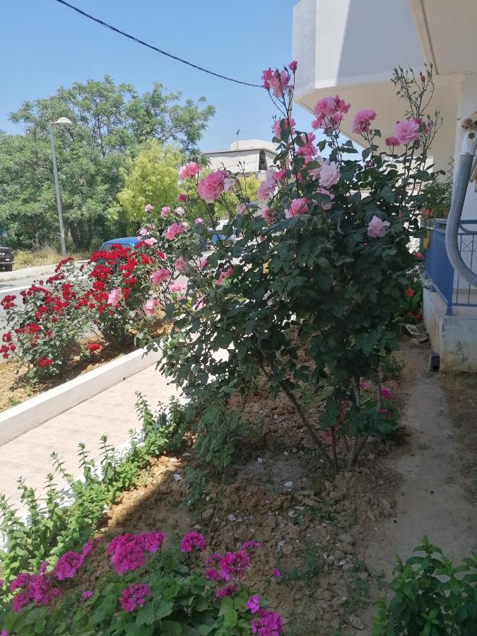 Appartement Elva Creta